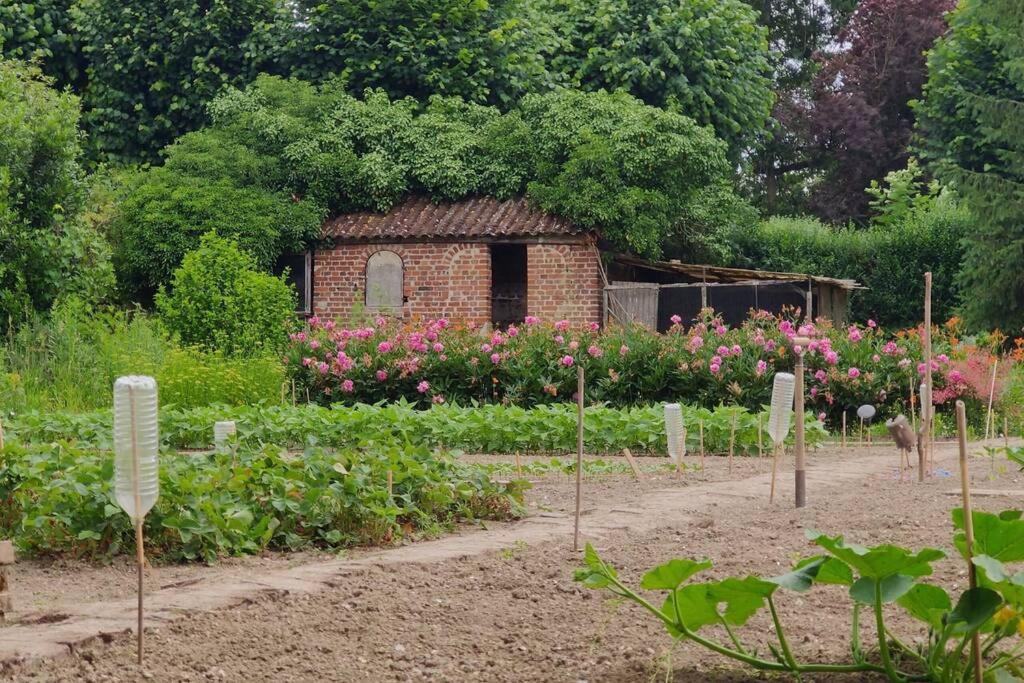 Uw Eigen Boerderij Bij Le Moulin De La Place Hargicourt Eksteriør billede